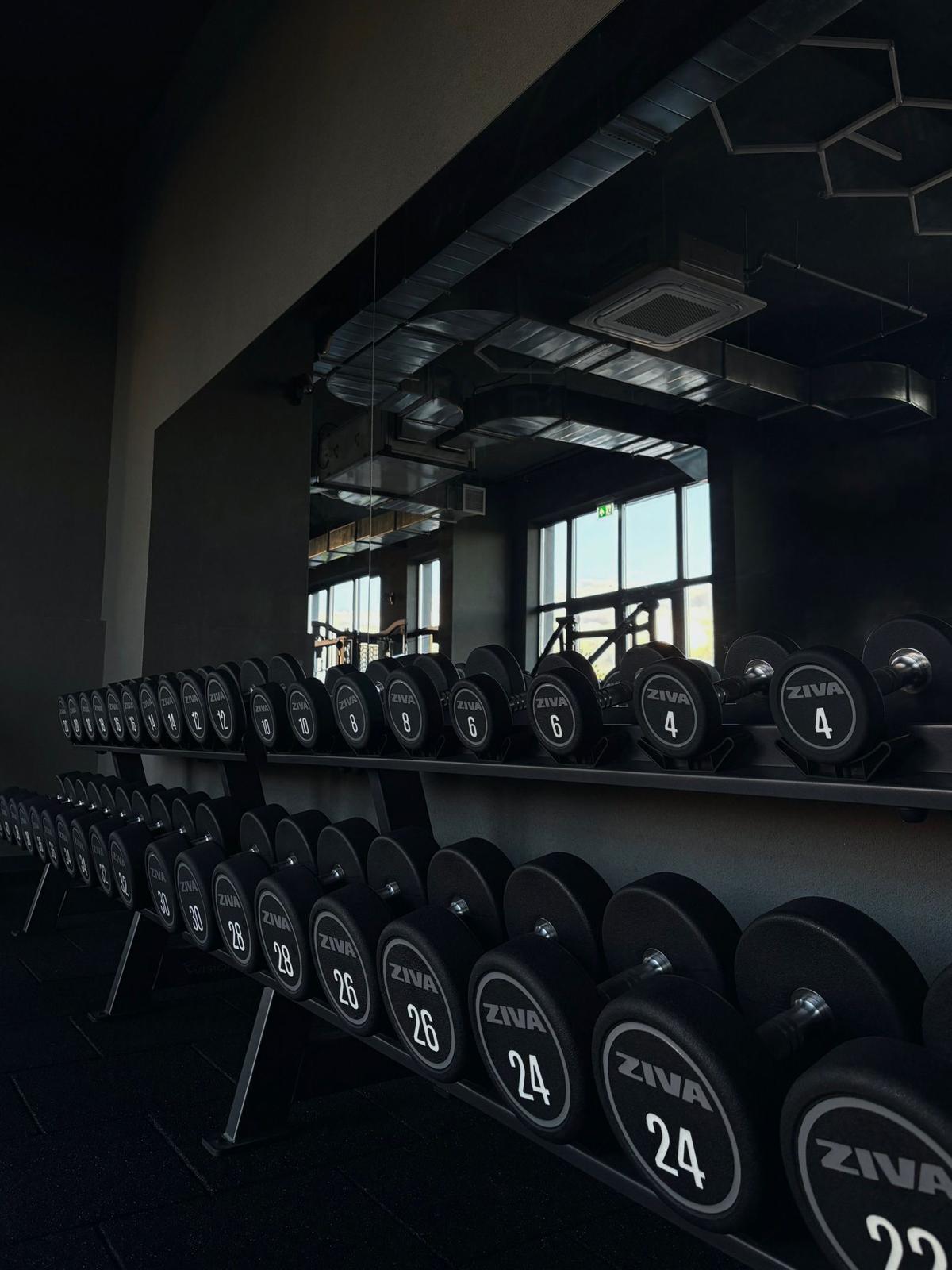 Magnolia Gym interior