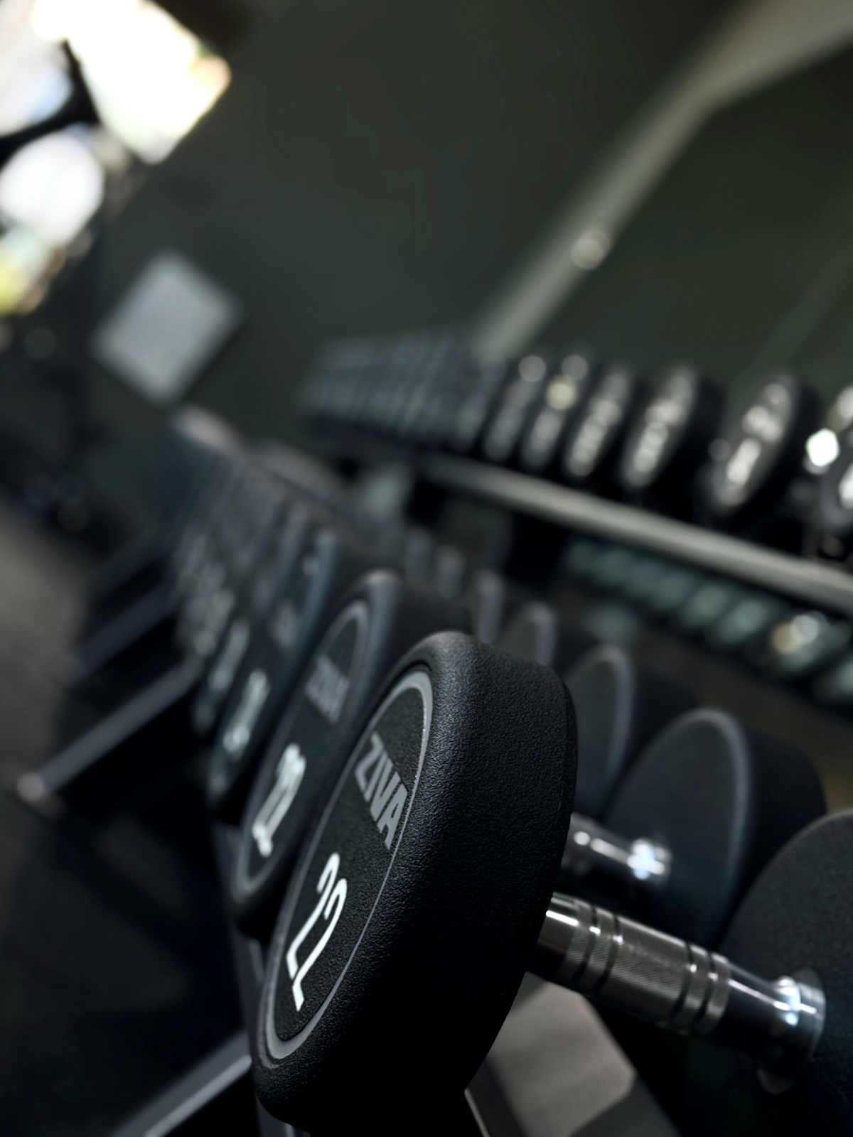 Magnolia Gym interior